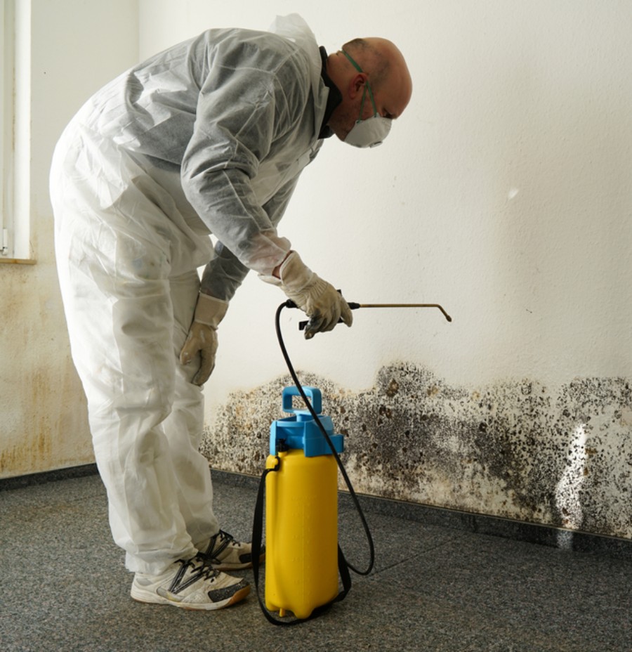 Mold Control and Remediation Company